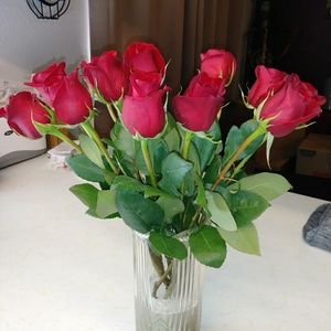 Meet your Posher, Kat